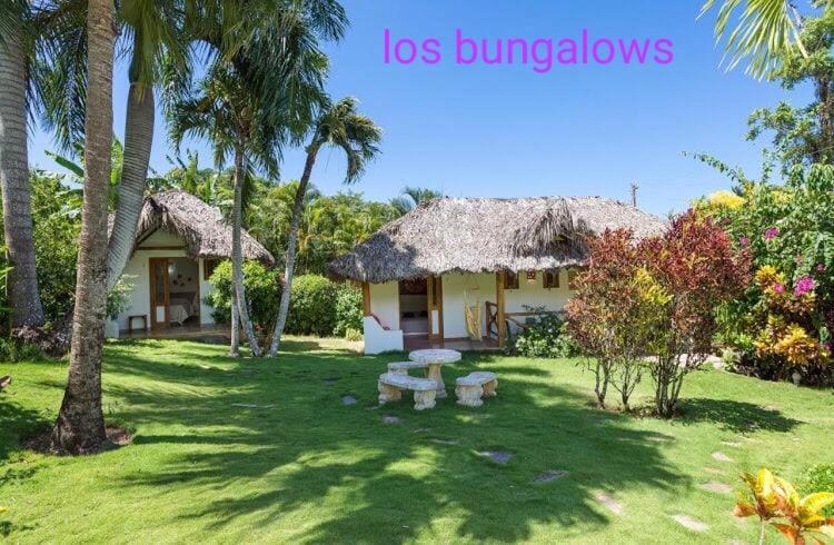 Villa Casa Flamingo Las Terrenas Esterno foto